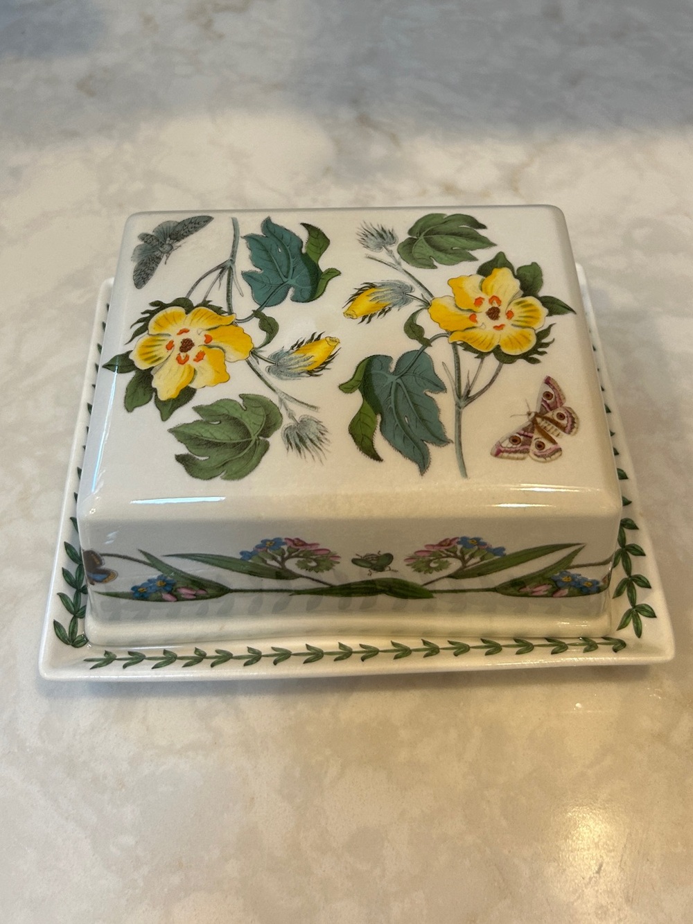 RARE-Portmeirion Botanic Garden Large Square 1 lb Covered Butter Dish-England